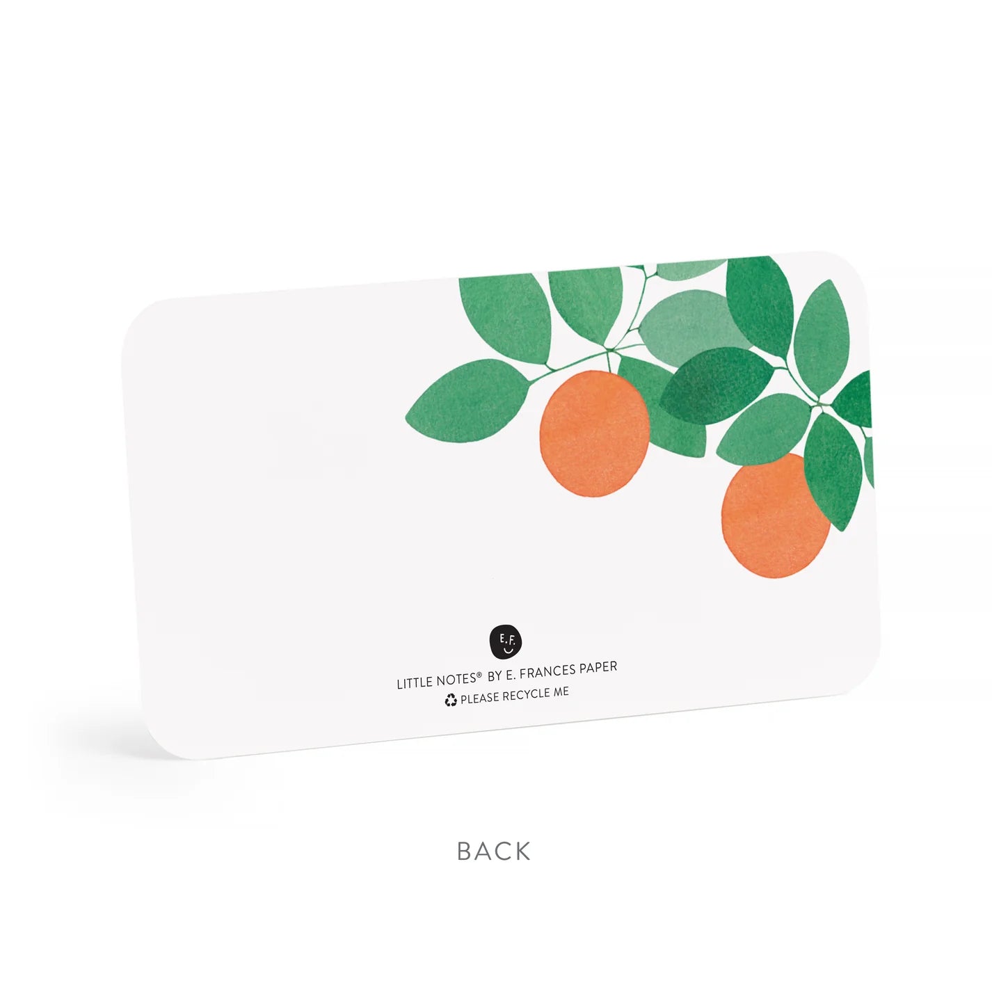 E. Frances Orange Grove Little Notes®