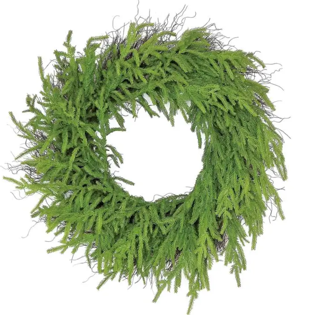 Norfolk Pine Wreath, 27", Green