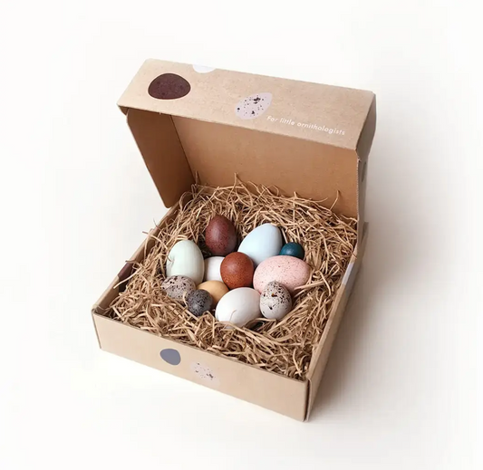 A Dozen Bird Eggs in A Box