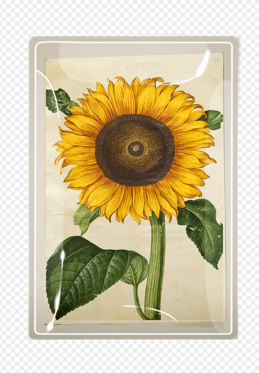 Bright Yellow Sunflower Decoupage Glass Tray